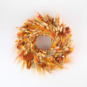 Narancssárga-natúr mezei kopogtató