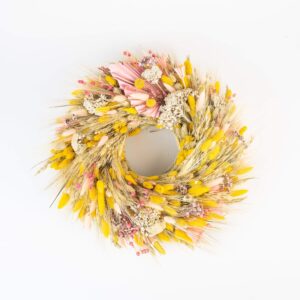 Pálmaleveles mezei kopogtató