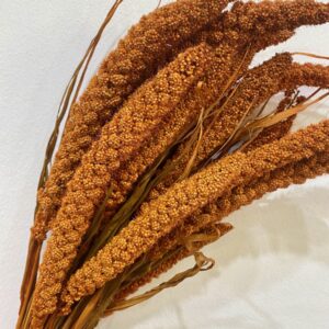 Fürtös szárított köles – narancsos
